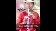 Hotel California | Khlui Thai solo cover |